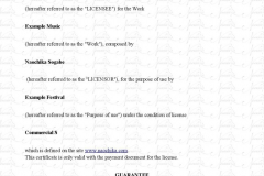 Certificate-of-License-example-page-001